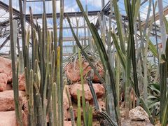 -华南国家植物园-售票处