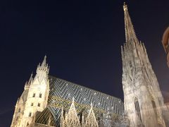 -斯蒂芬主教座堂(Stephansdom)