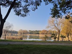 -贡湖湾湿地公园
