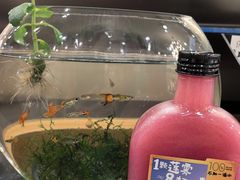 -Mr.Fruits水果先生(北京市百货大楼店)