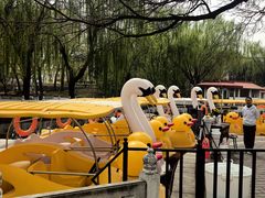 -丰台花园