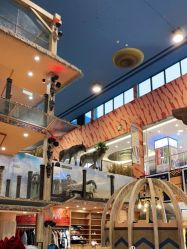 -卡通尼·Safari非洲探索乐园·生日会(金桥国际商业广场店)