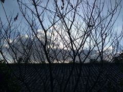 -杭州半山国家森林公园