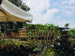 -花溪雨·森林餐厅(石基店)
