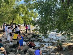 -宝安西湾红树林湿地公园