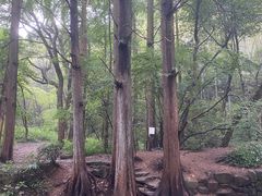 -拾溪餐厅·包厢(杭州千禧度假酒店)