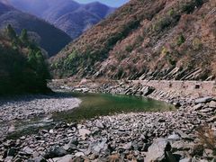 -黑河国家森林公园
