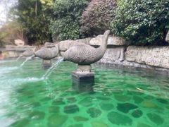 -杭州第一世界大酒店·云曼温泉
