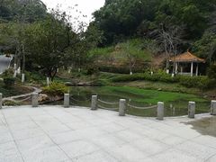 -火炉山森林公园
