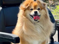 -梁鸿国家湿地公园