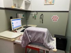 -伟伟宠物医院·瑞派猫友好医院·猫科(光谷店)