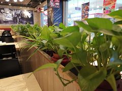 -避风塘(百联东郊店)