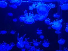 -多彩贵州城极地海洋世界