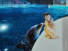 -福州罗源湾海洋世界旅游区