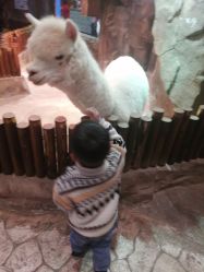 -宝燕乐园(闵行旗舰店)