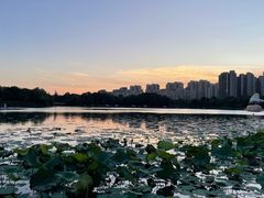 -南翔镇银翔湖公园