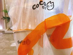-CoCo都可(燕郊永旺店)