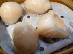 晶莹鲜虾饺-添好运点心专门店(北角店)