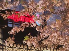-玛格萝妮比萨屋(四平店)
