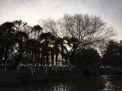 -瀛洲公园