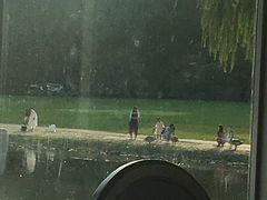 景观位-银树楼(紫玉山庄东区店)