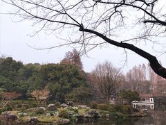 -杭州植物园