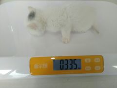 -谐和益家动物医院·免疫绝育·血液透析·宠保定点医院(高新伊藤分院)