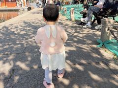 -西湖游船
