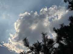 -长春公园(普阳街道)