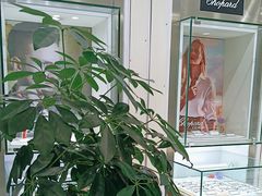 -大明眼镜(西四店)