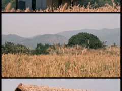 -良渚古城遗址公园