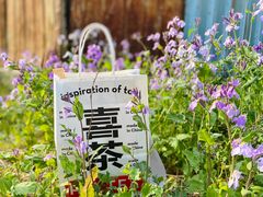 -喜茶(北京五棵松华熙店)