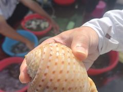 -硇洲岛旅游区
