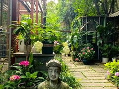 -谷咖啡·鲜花绿植花园餐厅