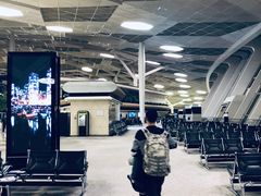 -盖达尔·阿利耶夫国际机场