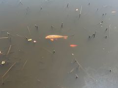 -金源温泉休闲会馆