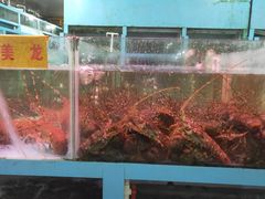 -华威西营里农产品批发市场
