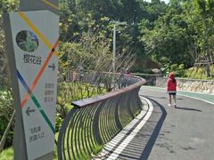 -飞凤山奥体公园
