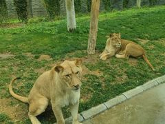 -北京野生动物园