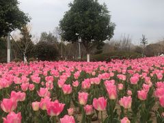 -院士公园
