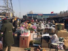 -中环花鸟鱼虫市场