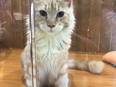 -龟与熊猫宠物公园(南坪店)