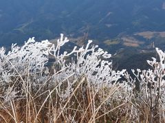 -金子山原生态旅游风景区