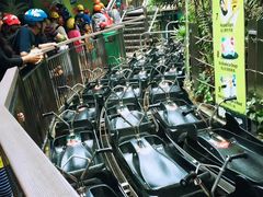 -圣淘沙天际线斜坡滑车