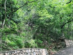 -紫金山山顶公园