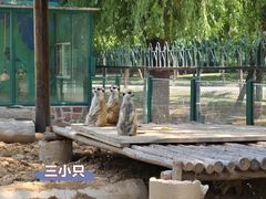-秦皇岛野生动物园