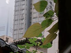 -森果咖啡(人民西路店)