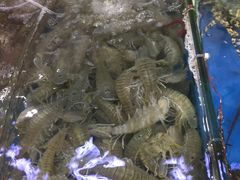 -清水湾3号(东方小周海鲜店)