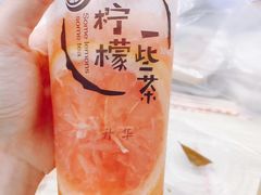 -一些柠檬一些茶(西村店)