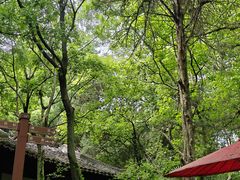 -虞山风景区